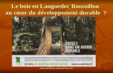 Jeanne POUJOL, formatrice I.U.F.M.1 Le bois en Languedoc Roussillon au cœur du développement durable ?