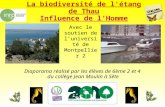 La biodiversité de l'étang de Thau Influence de lHomme Diaporama réalisé par les élèves de 6ème 2 et 4 du collège Jean Moulin à Sète Avec le soutien de.