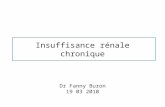 Insuffisance rénale chronique Dr Fanny Buron 19 03 2010.