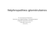 Néphropathies glomérulaires Pr Emmanuel Morelon Service de Néphrologie Transplantation Hôpital Edouard Herriot- Faculté Lyon-Est UCLB-1.