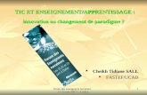 Forum des enseignants novateurs 21-23 juin 2007 C.T.SALL 1 TIC ET ENSEIGNEMENT/APPRENTISSAGE : innovation ou changement de paradigme ? Cheikh Tidiane SALL.
