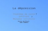 La dépression Problème de santé publique Maladie sociétale ? ? Xavier Briffault CNRS-CERMES3.