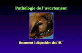 Pathologie de lavortement Document à disposition des HU.