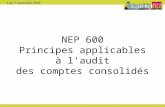 NEP 600 Principes applicables à laudit des comptes consolidés.