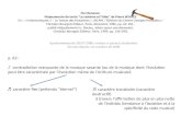 Flo Menezes: Mapeamento do texto "Le système et lidée" de Pierre BOULEZ [in : « inHarmoniques 1 – Le Temps des Mutations », IRCAM / Éditions du Centre.