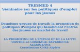 Page 1 Rabat, 30 et31 janvier 2012 TRESMED 4 Séminaire sur les politiques demploi pour les jeunes Deuxième groupe de travail: la promotion de politiques.