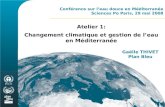 Conférence sur leau douce en Méditerranée Sciences Po Paris, 29 mai 2008 Atelier 1: Changement climatique et gestion de leau en Méditerranée Gaëlle THIVET.