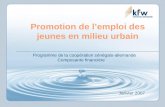 Promotion de lemploi des jeunes en milieu urbain Programme de la coopération sénégalo-allemande Composante financière Janvier 2007.