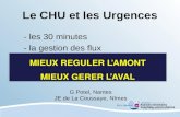 Le CHU et les Urgences - les 30 minutes - la gestion des flux G Potel, Nantes JE de La Coussaye, Nîmes MIEUX REGULER LAMONT MIEUX GERER LAVAL MIEUX REGULER.
