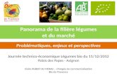 Panorama de la filière légumes et du marché Problématiques, enjeux et perspectives Claire RUBAT DU MERAC – Chargée de commercialisation Bio de Provence.