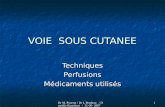 Dr M. Pourrot / Dr I. Bredeau / Danielle Bartoloni / 31-05- 2007 1 VOIE SOUS CUTANEE TechniquesPerfusions Médicaments utilisés.