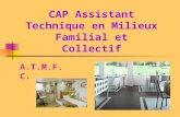 CAP Assistant Technique en Milieux Familial et Collectif A.T.M.F.C.