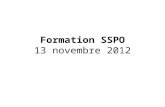 Formation SSPO 13 novembre 2012. * Objectifs Cadrage du nouveau programme, en repérer les points critiques (cruciaux et critiquables), ce qui peut nous.