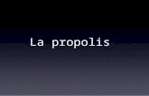 La propolis. Plan Labeille produit la propolis Lhomme récolte la propolis Composition Propriétés Indications Forme et posologie Recettes.