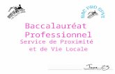 Baccalauréat Professionnel Service de Proximité et de Vie Locale.