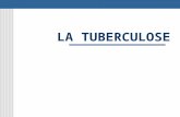 LA TUBERCULOSE INTRODUCTION Maladie infectieuse due au bacille tuberculeux Grand problème de santé publique au Maroc et dans le monde Programme national.