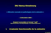 J-C. Cassel/LN2C DIU Nancy-Strasbourg « Mémoire normale et pathologies de la mémoire » - 2 décembre 2004 - Support accessible en format "*.pdf"