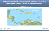 Système dInformation Géographique et Indicateurs de Risques Naturels dans le bassin Caribéen et les Petites Antilles : le projet CARIBSAT.