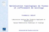 Optimisation topologique de formes et raffinement de maillage Frédéric GOLAY Laboratoire A nalyse N on l inéaire A ppliquée et Modélisation Equipe Modélisation.