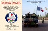 Hommage aux deux soldats français morts dans le cadre de l'opération "Sangaris", le 10 décembre à Bangui (Centrafrique) Lopération militaire "Sangaris",