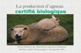 Certifié biologique La production dagneau certifié biologique Robert Robitaille, agr Répondant en agriculture biologique MAPAQ, Abitibi-Témiscamingue le.