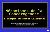 Mécanismes de la Cancérogenèse Mécanismes de la Cancérogenèse LExemple du Cancer Colorectal Cours Intensif de Cancérologie Digestive Alger le 06 et 07.