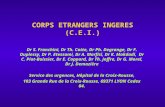 CORPS ETRANGERS INGERES (C.E.I.) Dr S. Franchini, Dr Th. Cotte, Dr Ph. Degrange, Dr F. Duplessy, Dr P. Etessami, Dr A. Marfisi, Dr K. Mokdadi, Dr C. Piot-