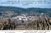 L'adaptation de l'architecture rurale aux mutations agricoles en Languedoc du XVIIe au XXe siècle S a v o i r s P a r t a g é s Jean-Michel Sauget, service.