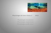Physiologie de base niveau 2 2012 Physiologie circulatoire Physiologie respiratoire Physiologie oreille sinus