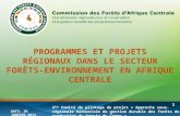 2 ème Comité de pilotage du projet « Approche sous-régionale harmonisée de gestion durable des forêts de production du bassin du Congo » D ATE : 30 JANVIER.