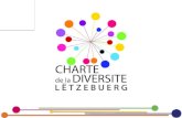 Vers une meilleure insertion des personnes en situation de handicap dans les entreprises luxembourgeoises Conférence 19 novembre 2013.