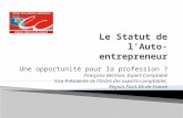 Une opportunité pour la profession ? Françoise Berthon, Expert-Comptable Vice-Présidente de lOrdre des experts-comptables Région Paris Ile-de-France.