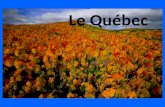 Le Québec. En quelques mots et quelques chiffres Population : 7 907 375 (2010) Densité : 4,97 hab./km 2 (19x moins quen Espagne) Superficie : 1 667.
