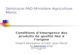Séminaire FAO-Ministère Agriculture Maroc Conditions démergence des produits de qualité liée à lorigine Hubert Devautour (Cirad), Jean-Pierre Boutonnet.