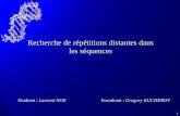 1 Recherche de répétitions distantes dans les séquences Etudiant : Laurent NOE Encadrant : Gregory KUCHEROV.