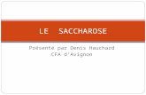 Présenté par Denis Hauchard CFA dAvignon LE SACCHAROSE.