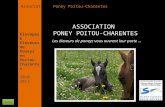 APPC Présidente Lynda JOURDAIN La Gravière 79400 AUGE 06 27 34 23 78 Association Poney Poitou-Charentes Les éleveurs de poneys vous ouvrent leur porte.
