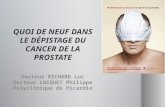 Docteur RICHARD Luc Docteur LOCQUET Philippe Polyclinique de Picardie.