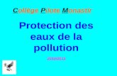 Protection des eaux de la pollution 2010/2011 Collège Pilote Monastir.