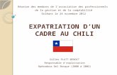 EXPATRIATION DUN CADRE AU CHILI Réunion des membres de lassociation des professionnels de la gestion et de la comptabilité Orléans le 24 novembre 2012.