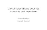 Calcul Scientifique pour les Sciences de lIngénieur Bruno Koobus Franck Nicoud.