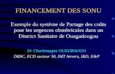 FINANCEMENT DES SONU Exemple du système de Partage des coûts pour les urgences obstétricales dans un District Sanitaire de Ouagadougou Dr Charlemagne OUEDRAOGO.