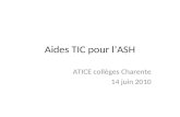 Aides TIC pour lASH ATICE collèges Charente 14 juin 2010.