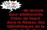 Le club de lecture pour adolescents Chien de lisard dans le Réseau des bibliothèques de la Ville de Québec.