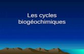 Les cycles biogéochimiques. La lithosphère Trouve la définition…. Partie solide de la surface de la Terre (ensemble des roches et des sols terrestres).