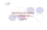 MODIFICATIONS « CARABINE » 2013. 2 CARABINE (1) 7.4.1.1 Une carabine par discipline. Une seule carabine est autorisée pour les matchs éliminatoires, de.