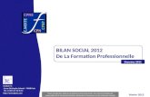 BILAN SOCIAL De La Formation professionnelle Diffusion et reproduction interdites Institut I+C 11 rue Christophe Colomb - 75008 Paris Tél.: 33 (0)1 47.