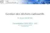 Gestion des déchets radioactifs M. Picard, DGS-RP-RW Consolidation TDC2-TCC2 – LS1 22 ème réunion groupe de travail 18 Décembre 2012.