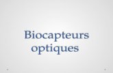 Biocapteurs optiques Biocapteurs optiques. Sommaire Introduction Historique Biocapteur optiques Les biocapteur a onde de surface Biocapteur a base cristaux.