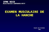 EXAMEN MUSCULAIRE DE LA HANCHE Cours de bilans MK1 IFMK NICE Marie-Martine LANFRANCHI-PETIT.